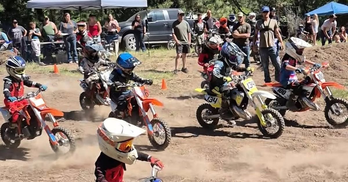 2027 Wild Rose 2 - Thompson Ranch